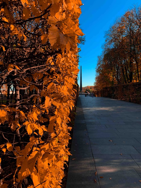 fall in Ukraine