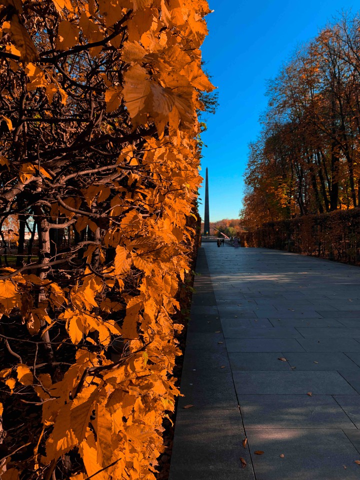 fall in Ukraine