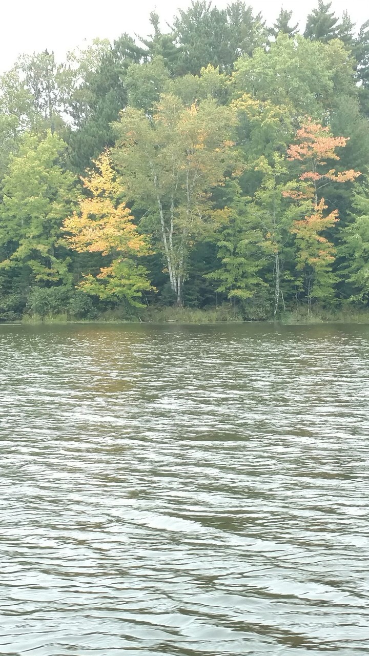 Hayward, wi