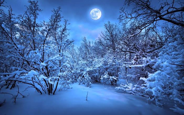night during snow