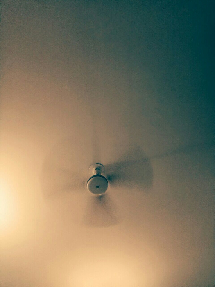 fan