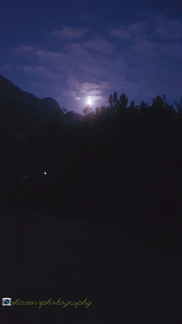 moonlight