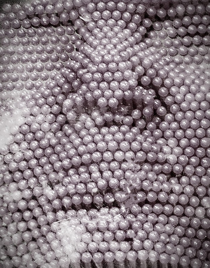 Face