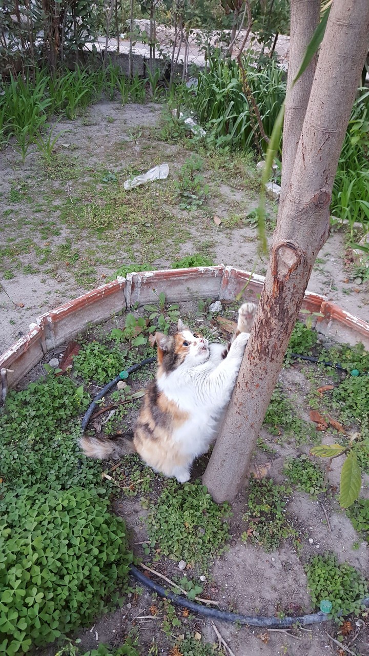 Уйда!!! Что там? Oh What is there?