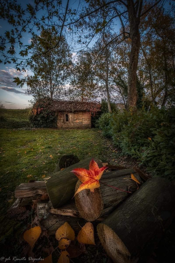 un cascinale NEL Lodigiano