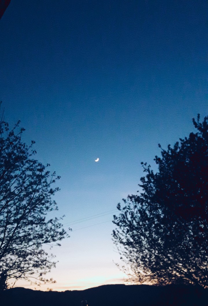 tiny moon