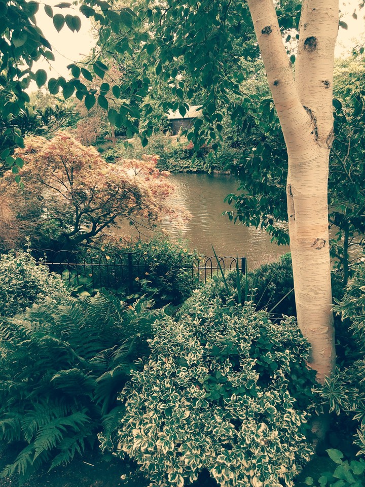 In The Middle of The Park