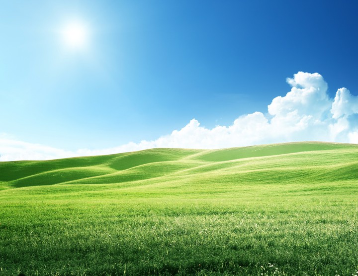 wallpaper