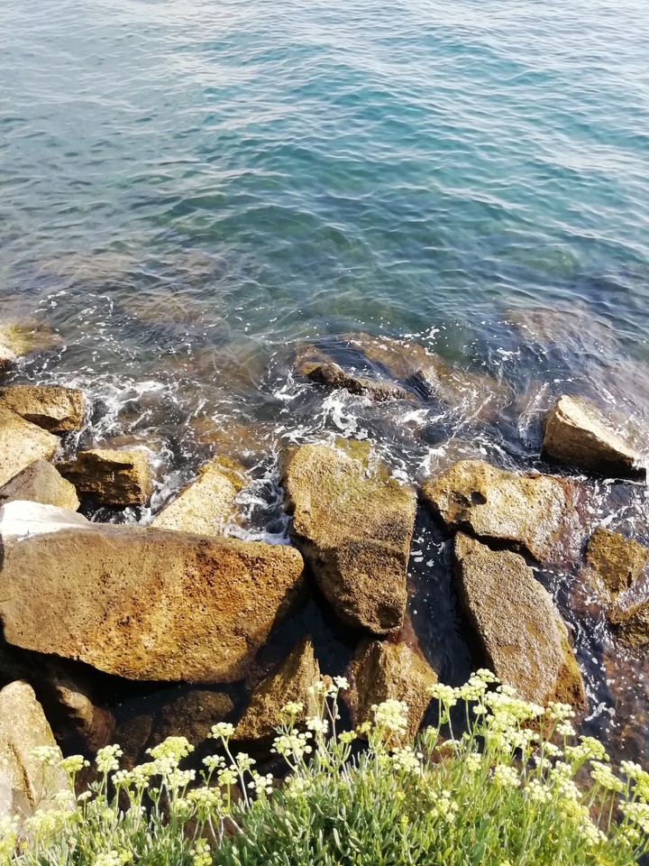 Sea