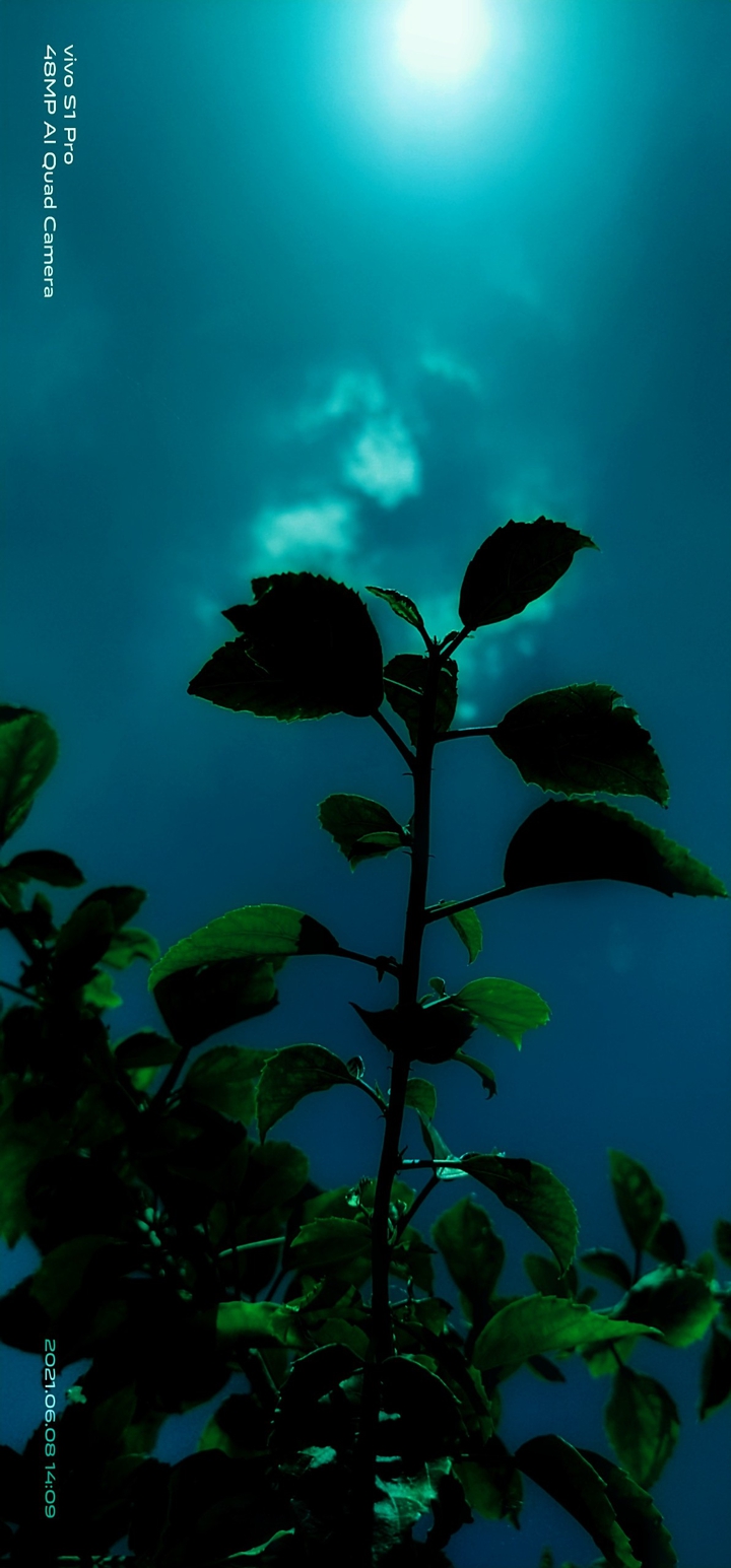 my click