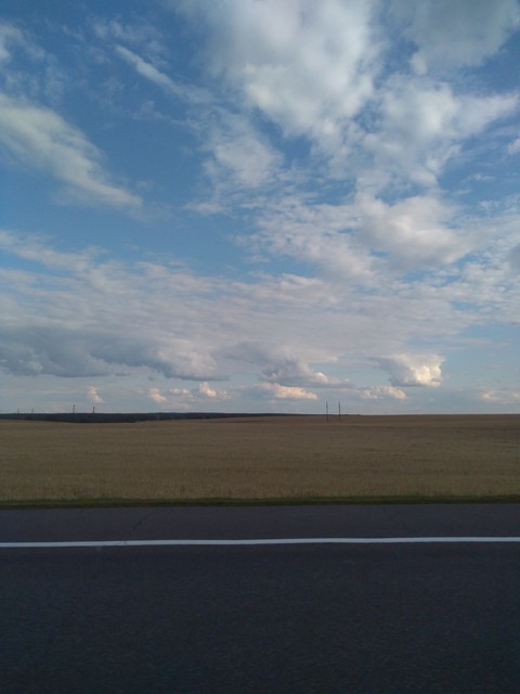 Field near the road