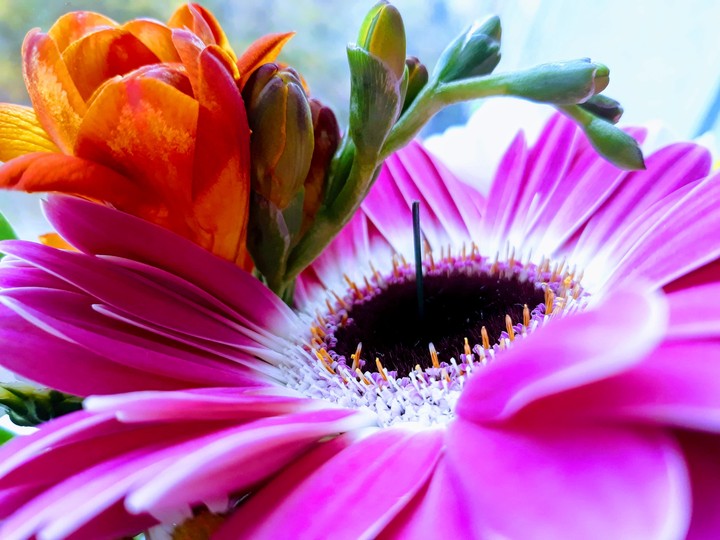flower arrangement