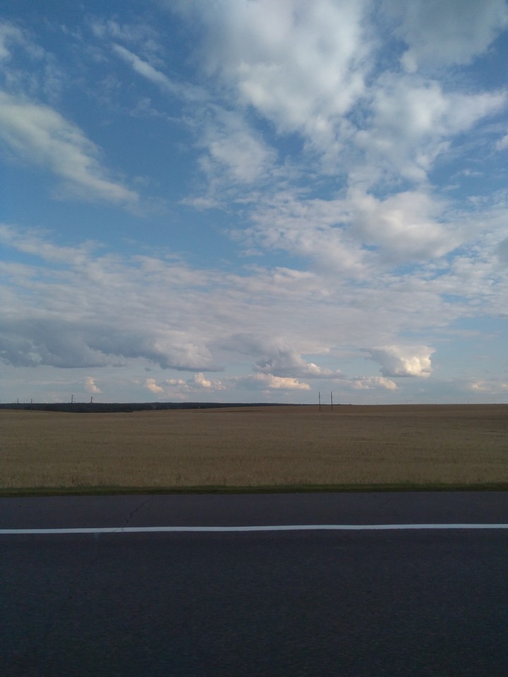 Field near the road