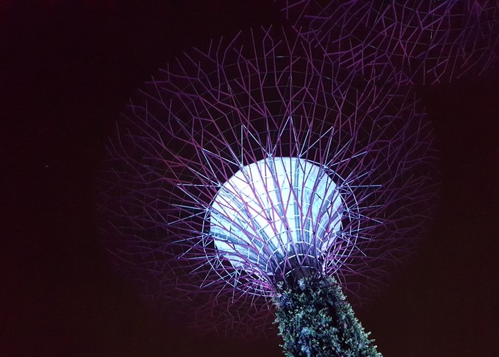 Gardens by the bay