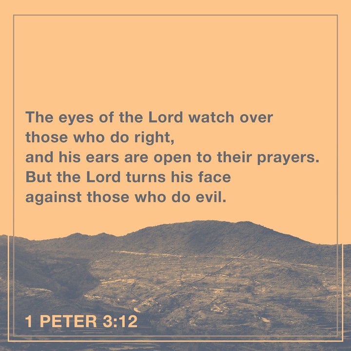 watch over