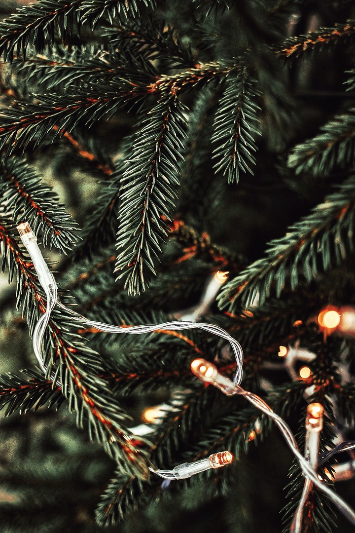 lights