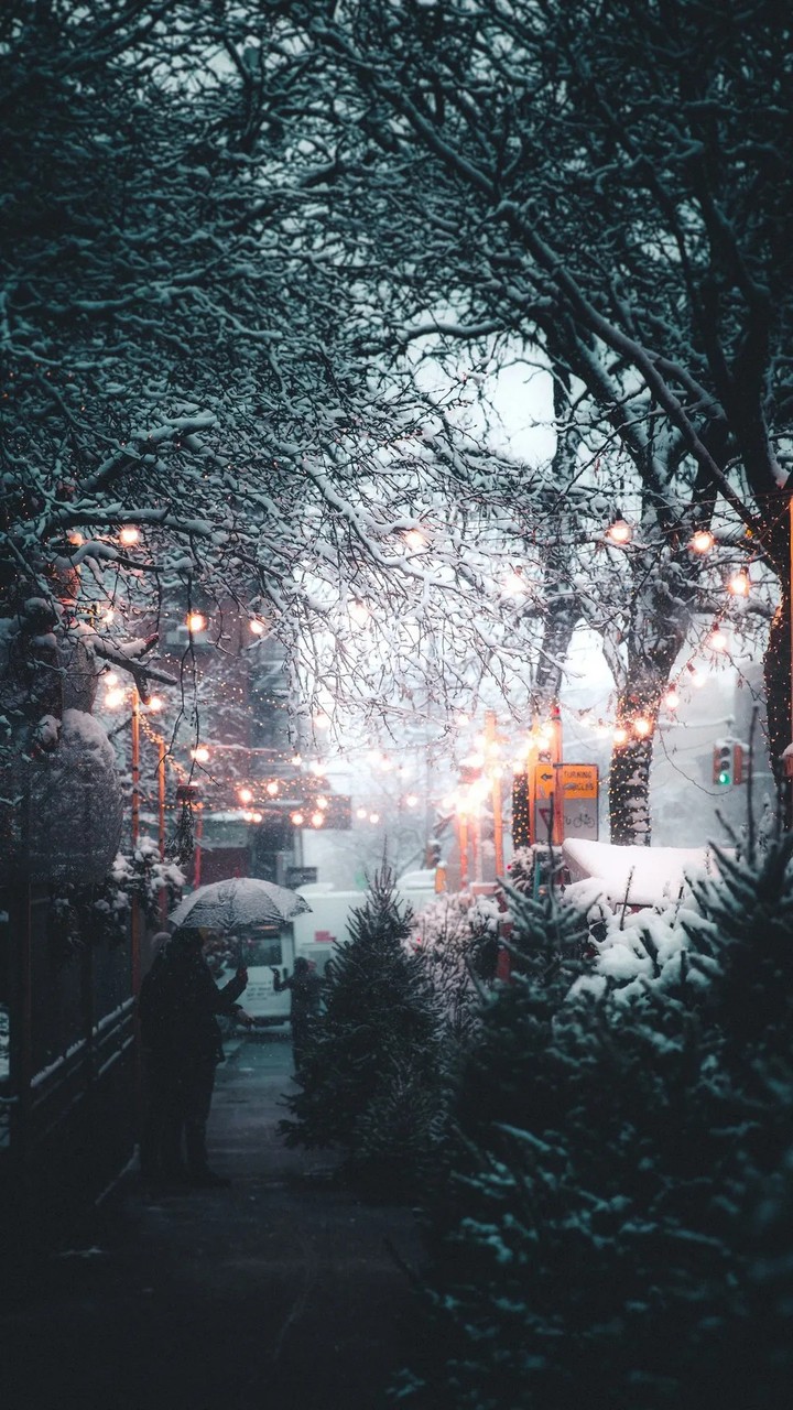 winter