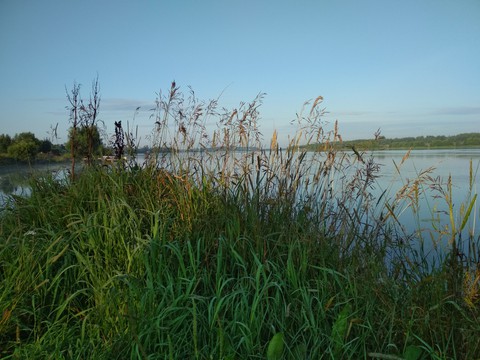 Volga River