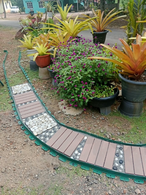 My older sister garden