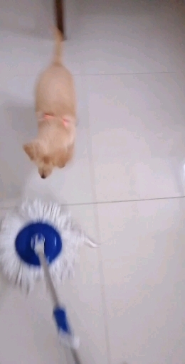 Playing