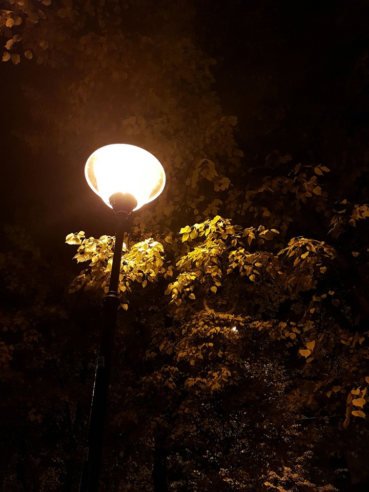 street lights
