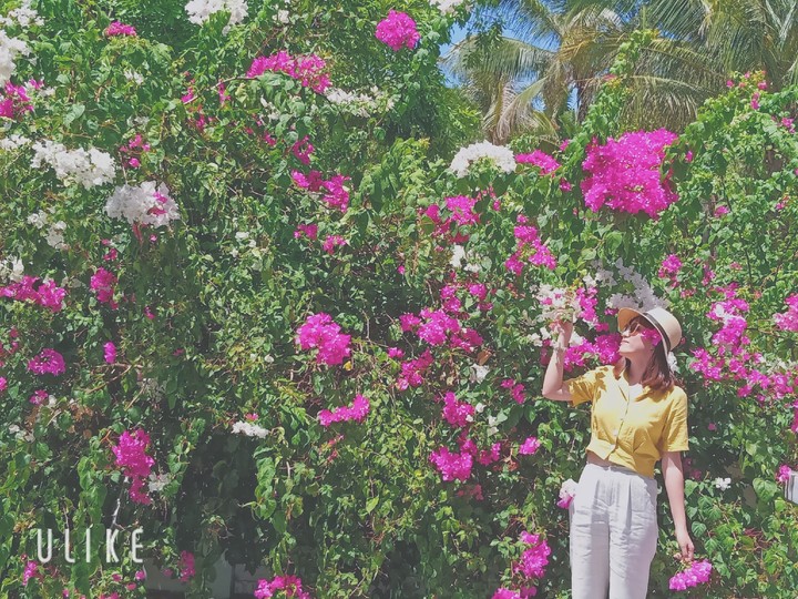 pink