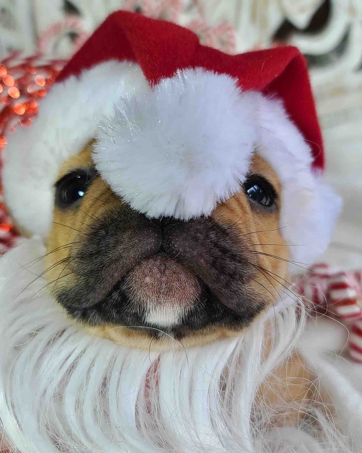 .