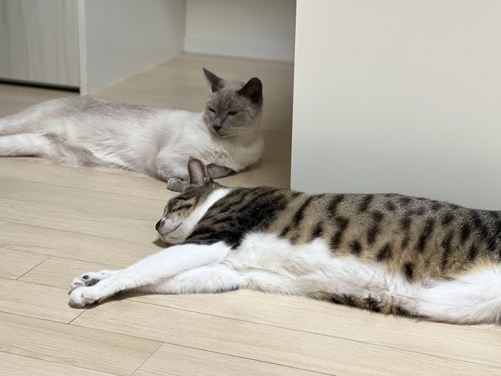 .
