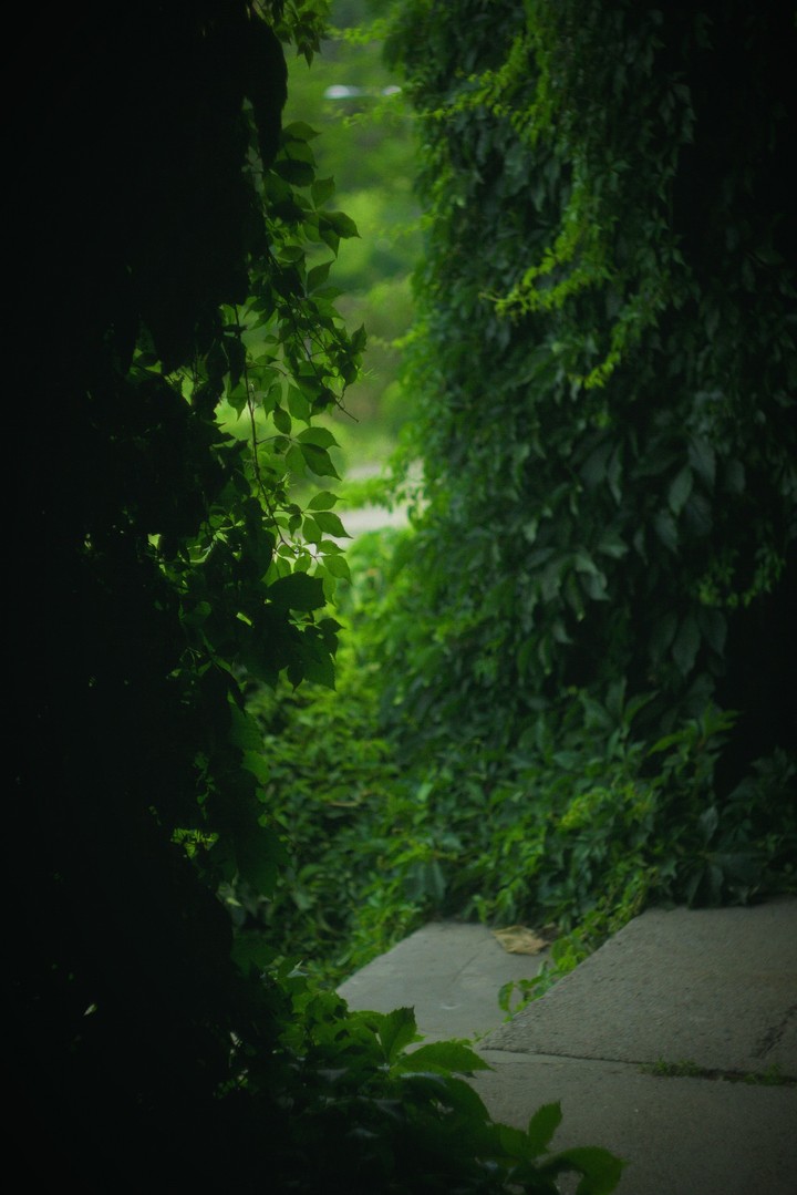 Greeny
