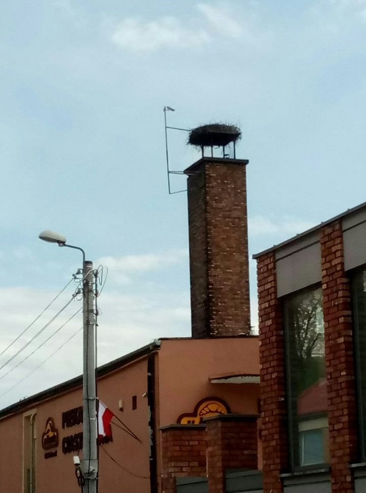 polska