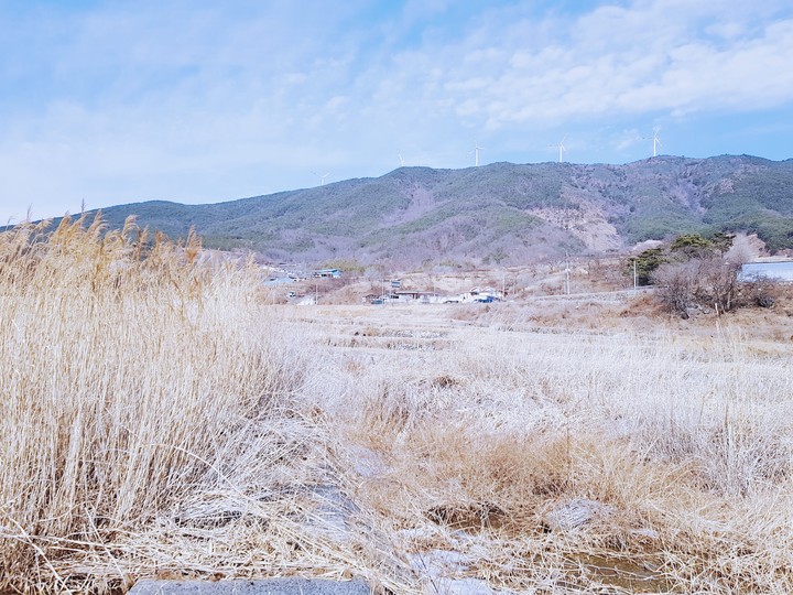 시골
