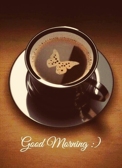 good morning