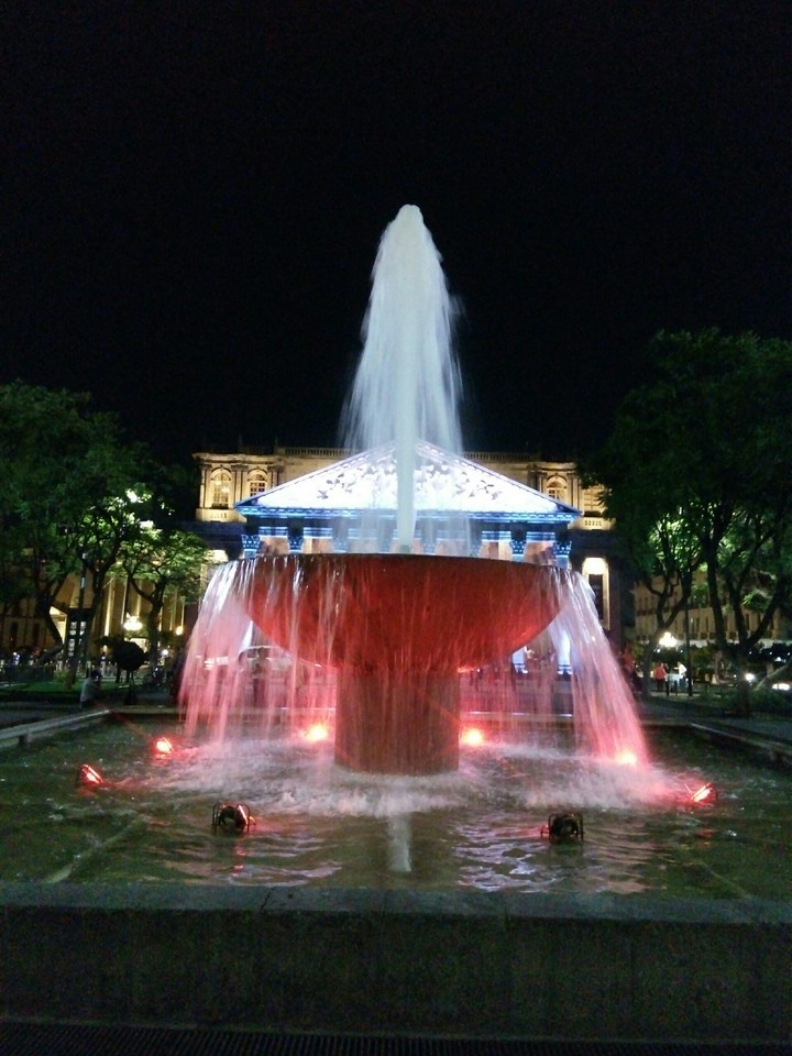 agua viva