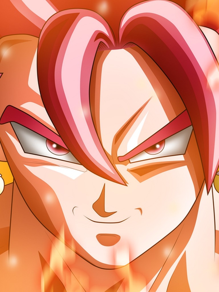 Vegetto god