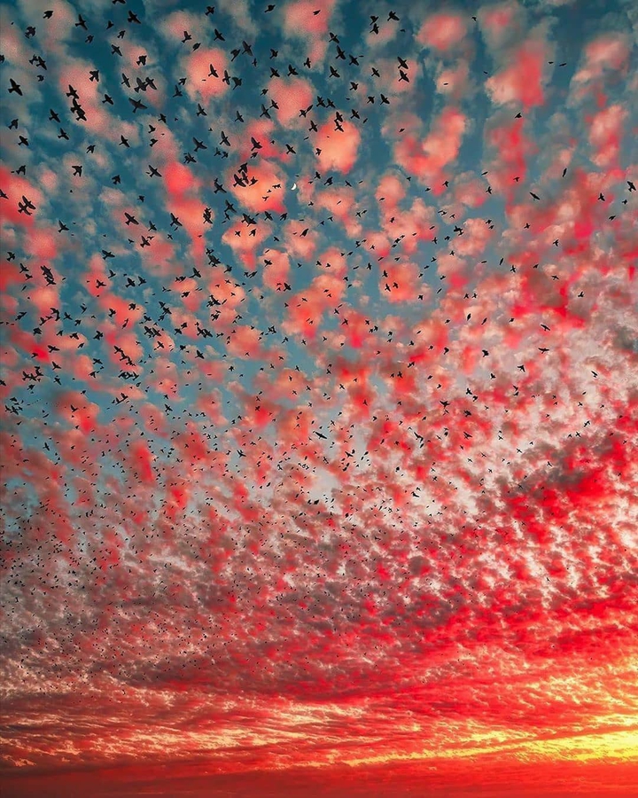 Sky