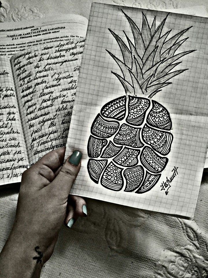 sketch
