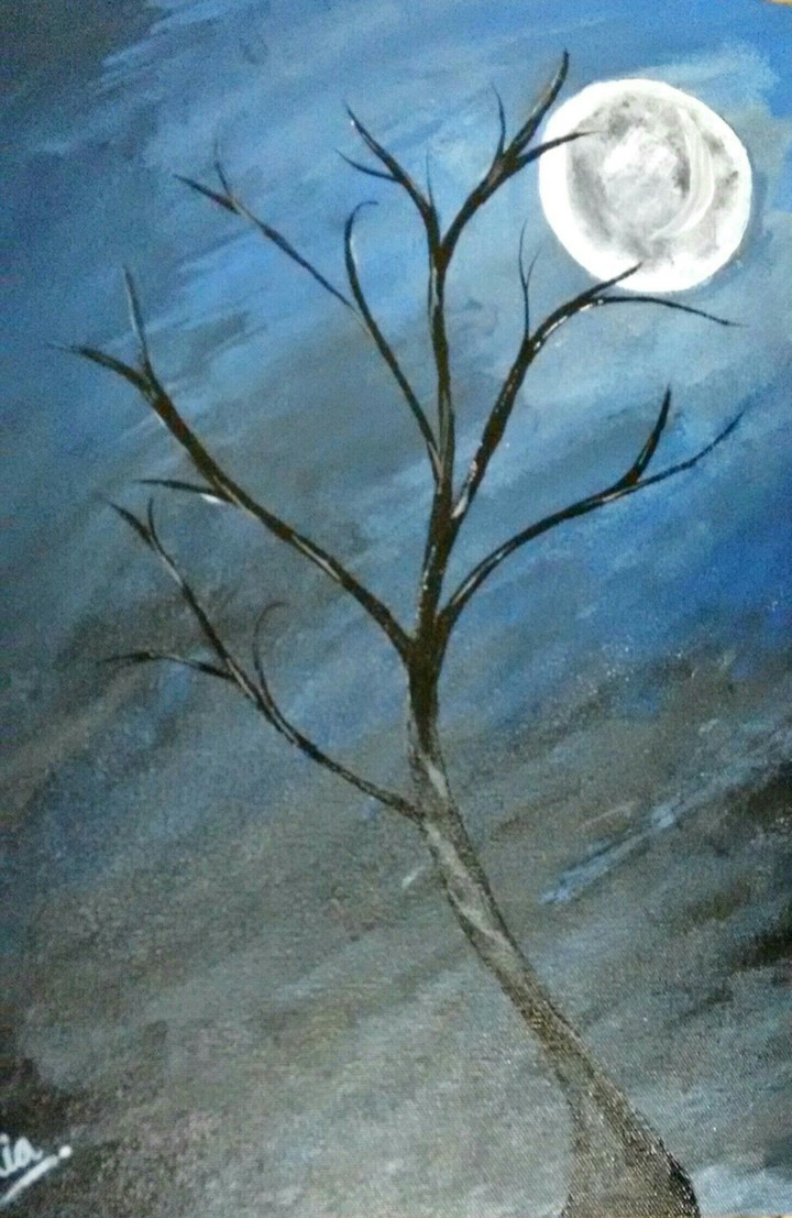 night moonlight with a tree