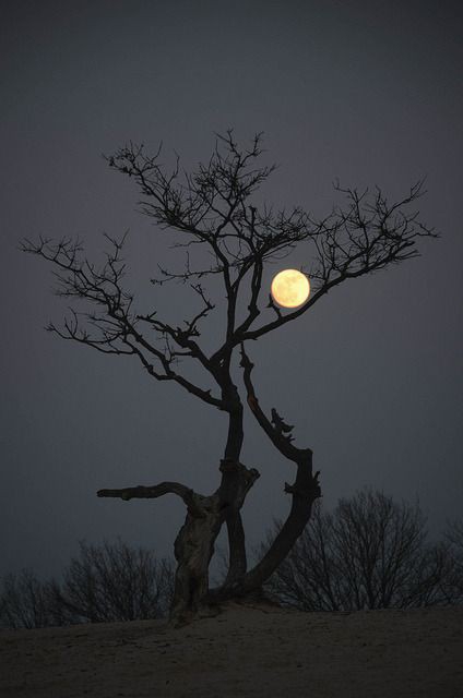 Good night