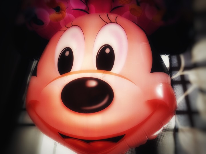 Micky Mouse