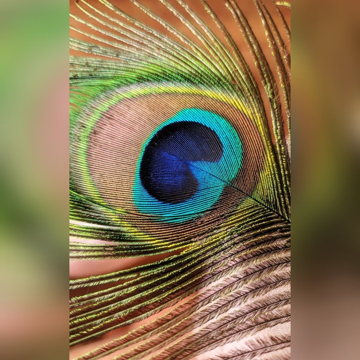 Krishna