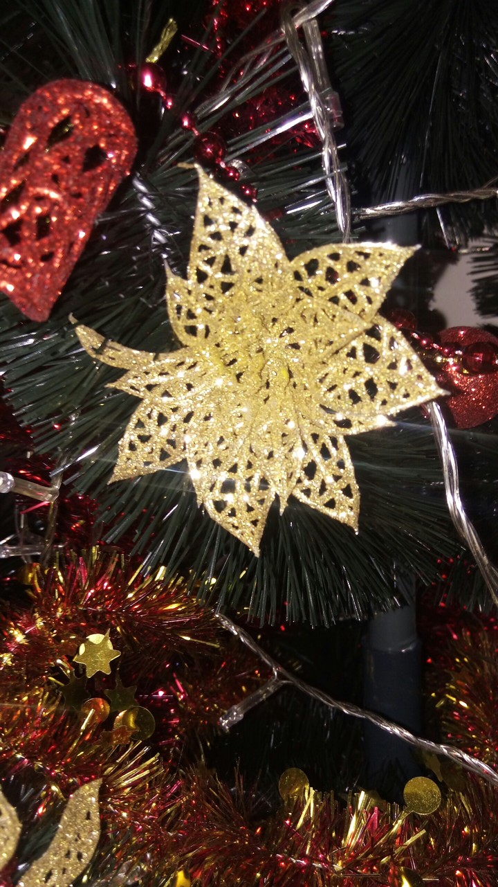 Natal