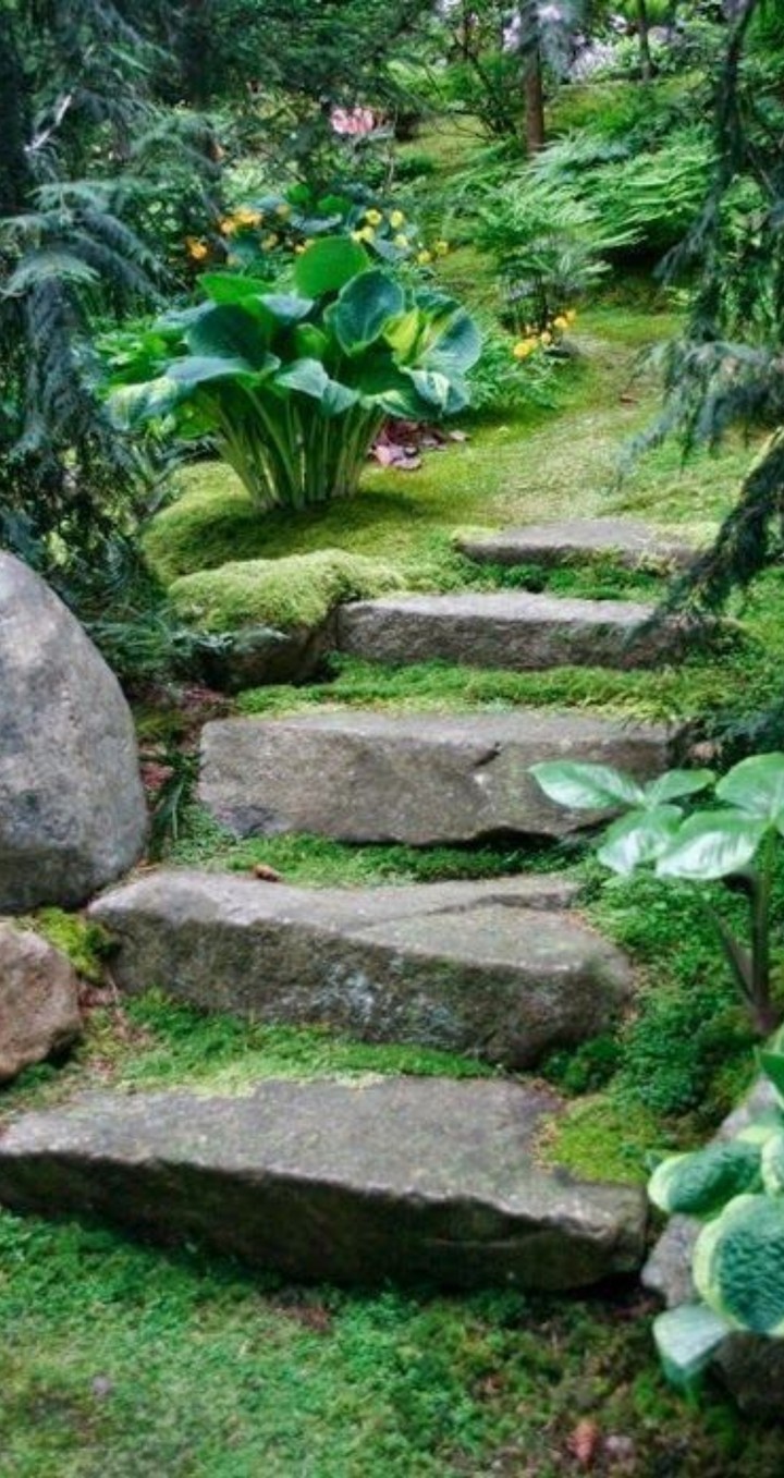 Stone steps