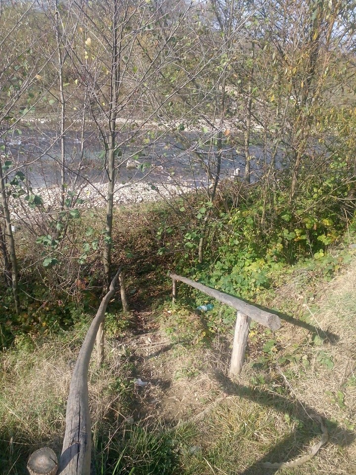 autumm