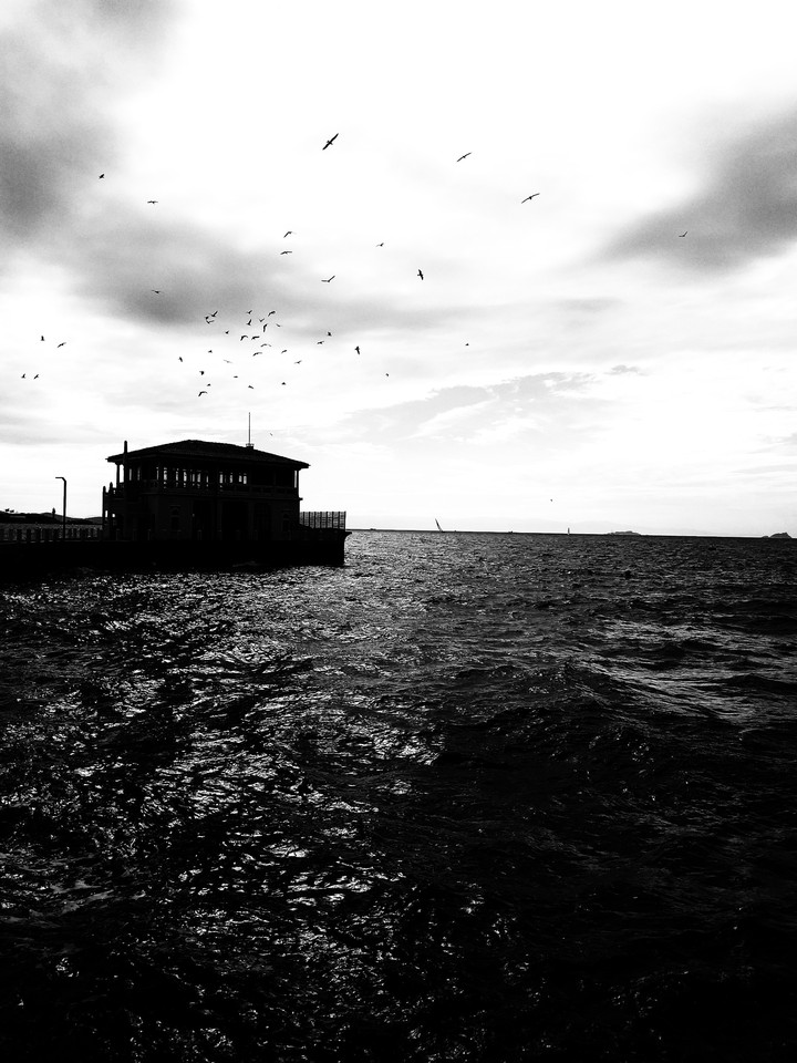 dark sea