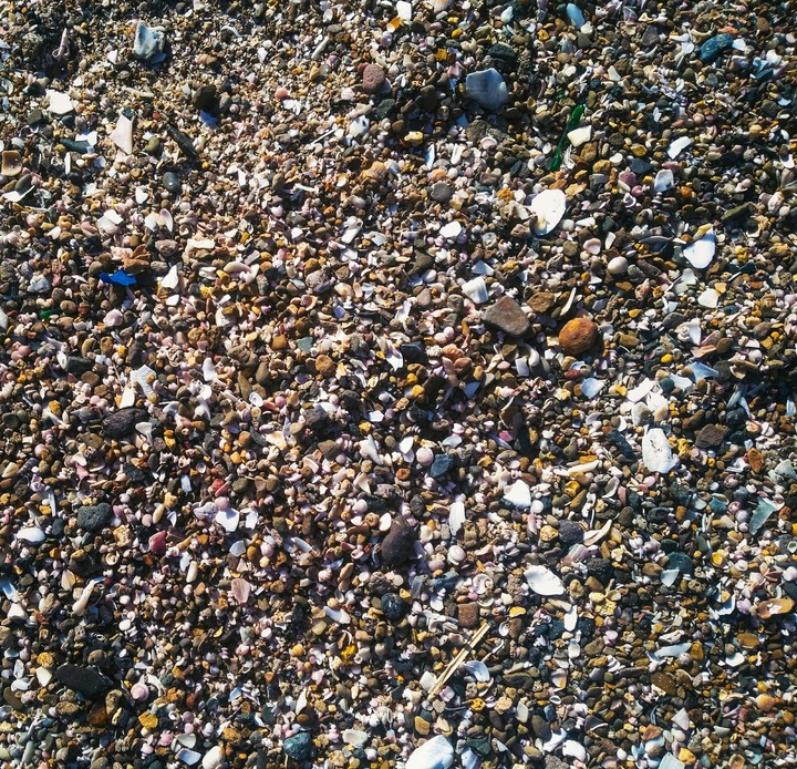 sand and shrenks.