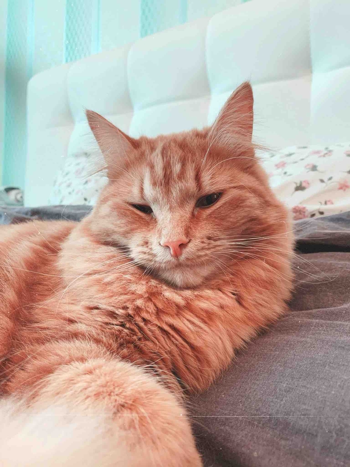Карл