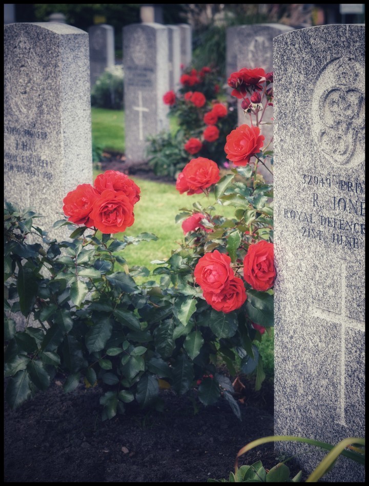 Remembrance