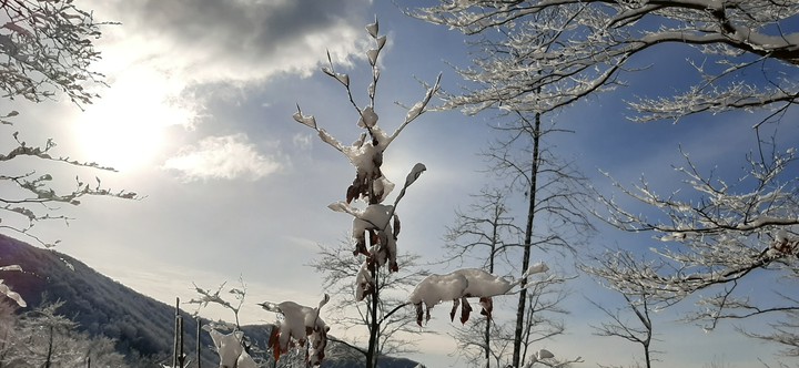 Winter day