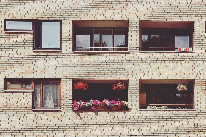Windows building