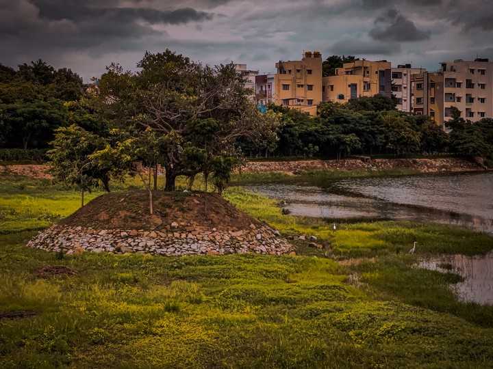 Nature ❤️❤️